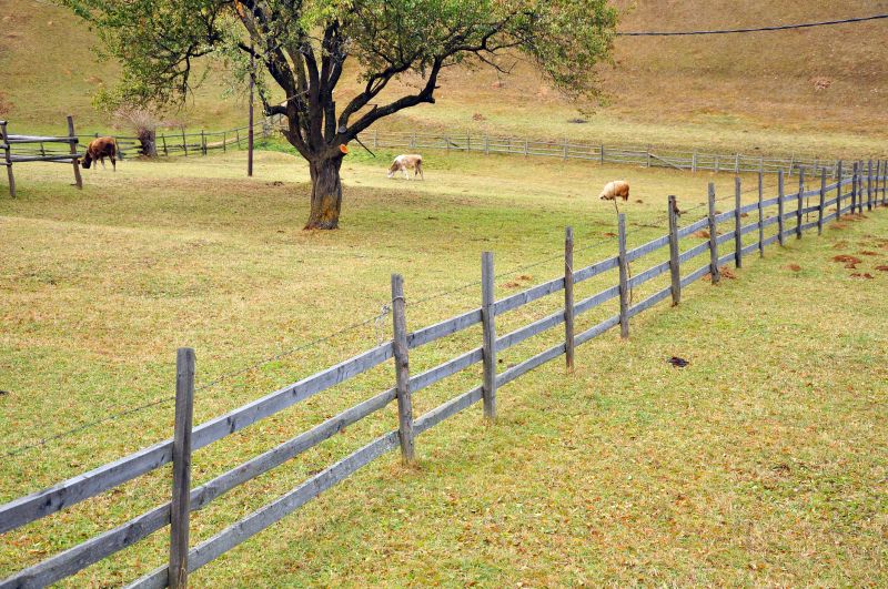 Rural Farm Fence