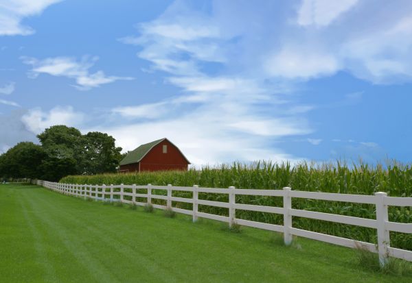 Farm Fence Repair in Akron