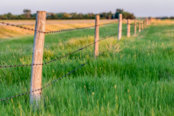 Field Fence Installation in Akron