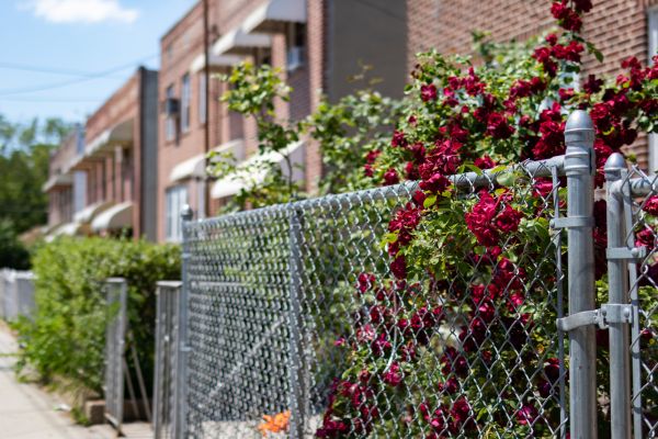 Chain Link Fence Replacement in Akron