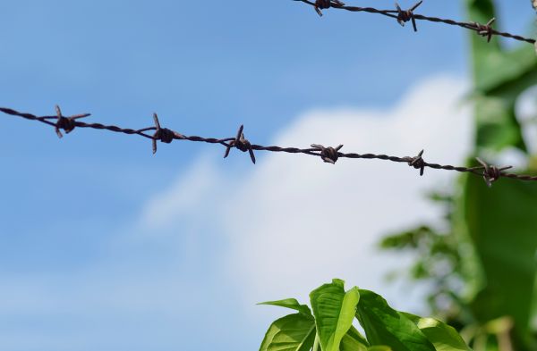 Garden Fencing Service in Akron