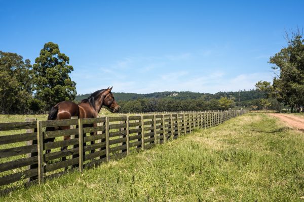Horse Fence Repair in Akron
