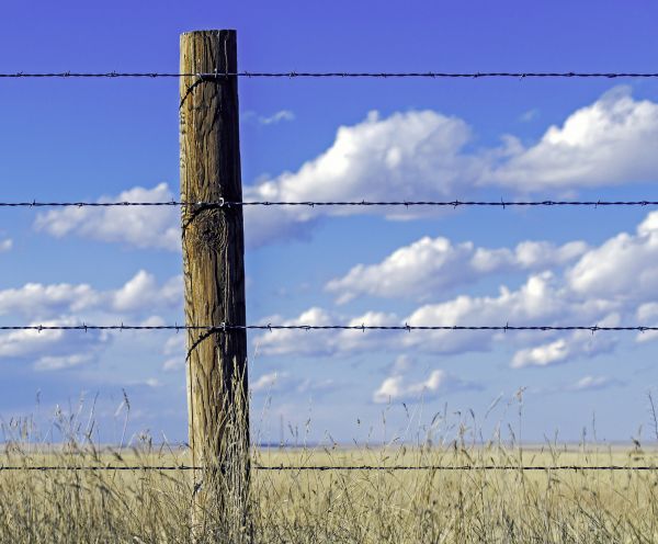 Wire Fence Installation in Akron