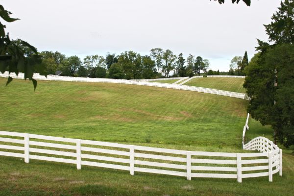 Livestock Fence Repair in Akron