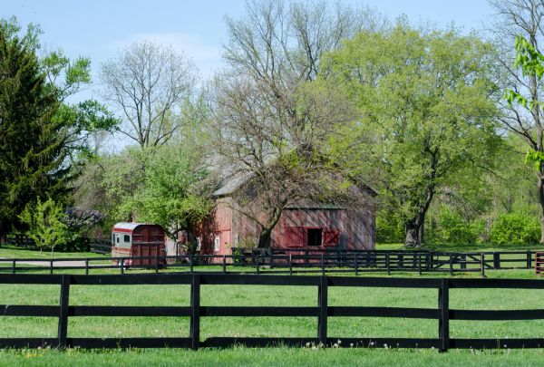 Horse Paddock Repair in Akron