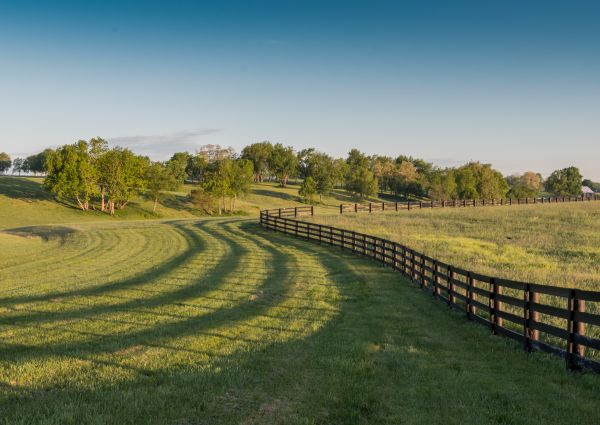Equine Fence Repair in Akron