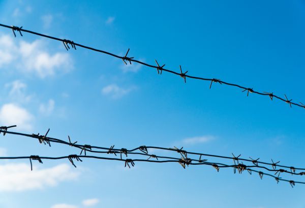 Wire Fencing Service in Akron