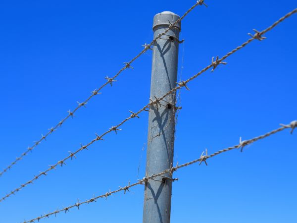 Wire Fence Replacement in Akron