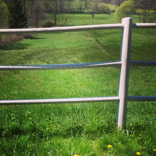 Cattle Fence Replacement in Akron