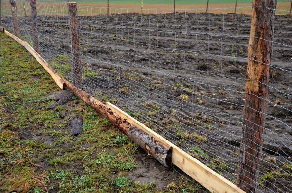 Deer Fencing Repair in Akron