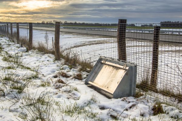 Wildlife Fence Repair in Akron